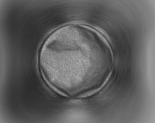 X0000088671006200706281918
