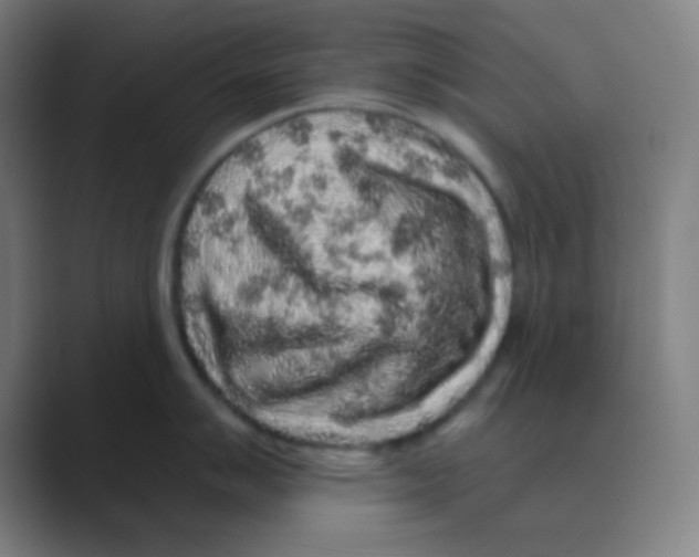 X0000088671007200706281918