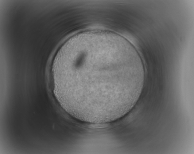 X0000088671008200706281918