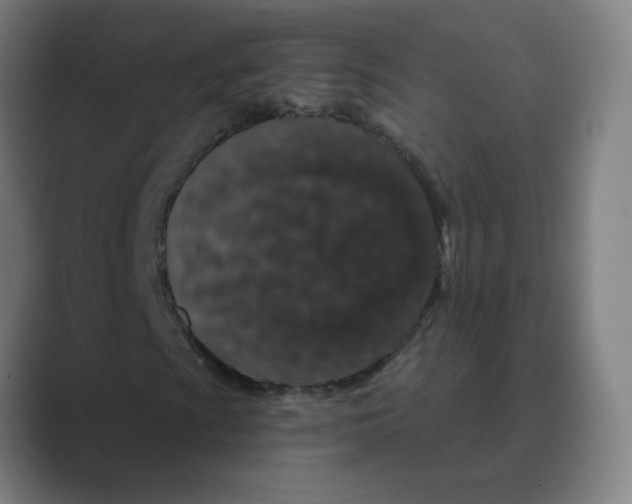 X0000088671009200706281917