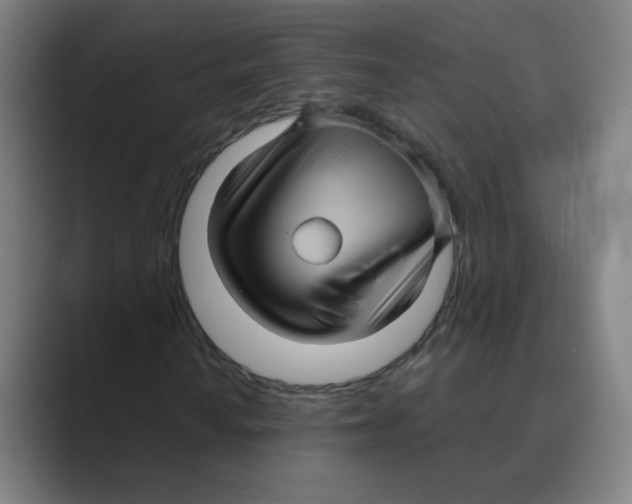 X0000088671010200706281917