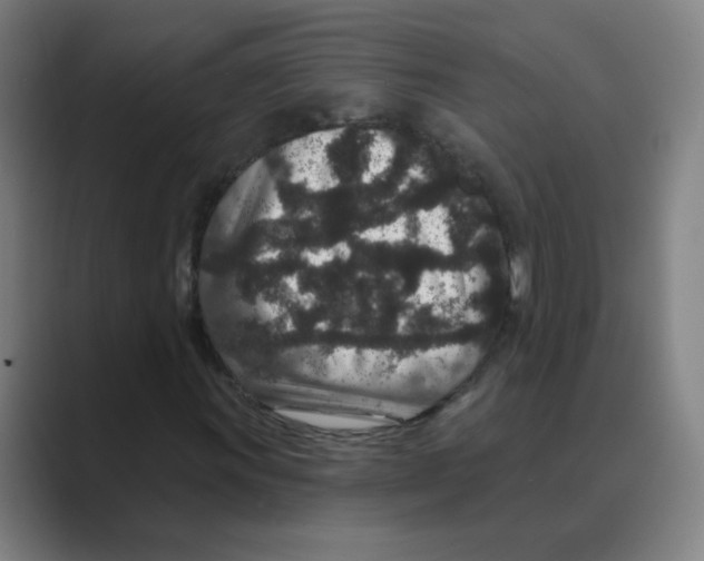 X0000088671011200706281917