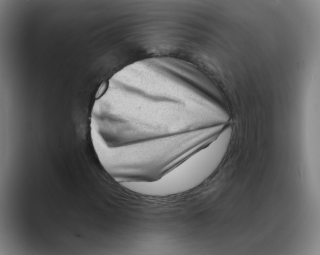 X0000088671012200706281917