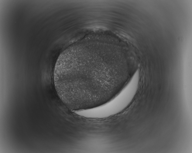 X0000088671014200706281917