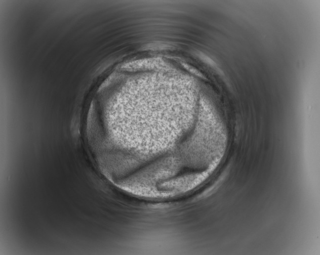 X0000088671017200706281917