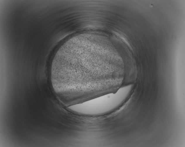 X0000088671018200706281917
