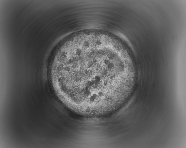 X0000088671019200706281917