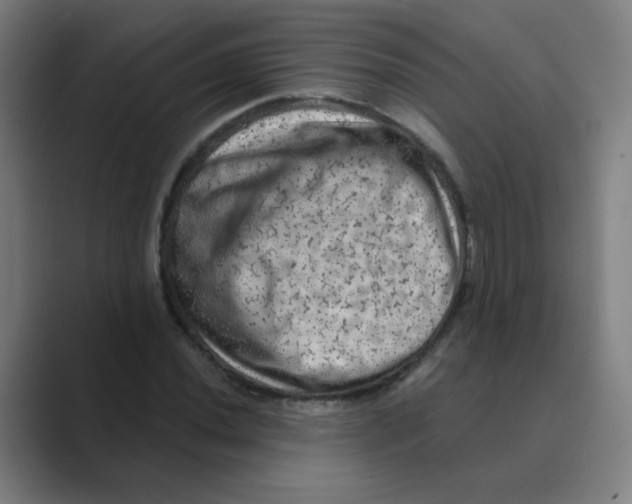 X0000088671020200706281917