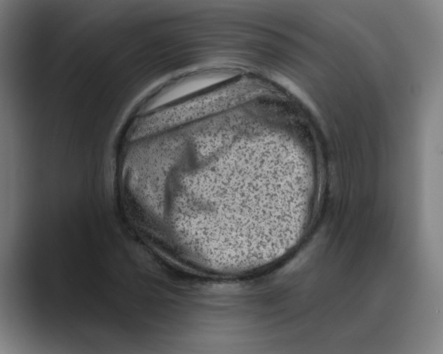 X0000088671021200706281917