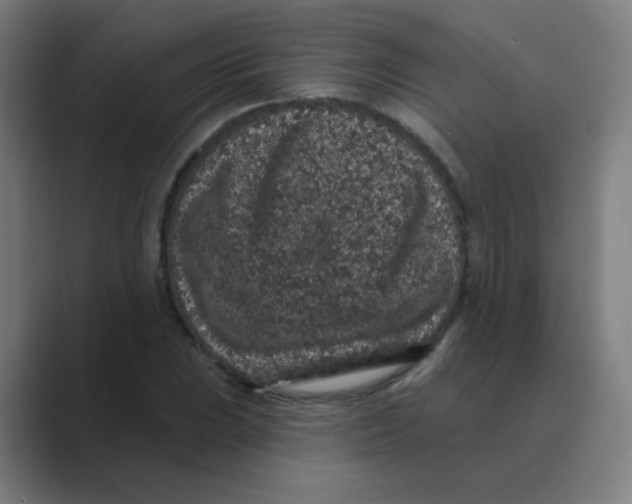 X0000088671023200706281917