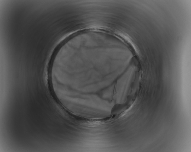 X0000088671024200706281917