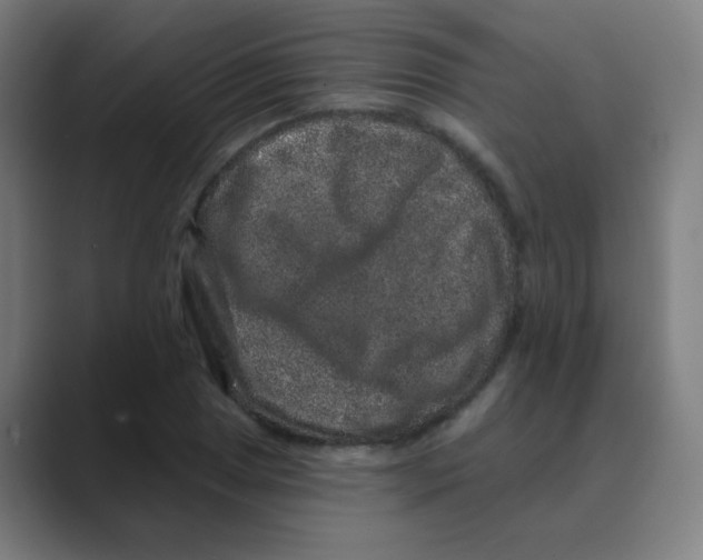 X0000088671025200706281917
