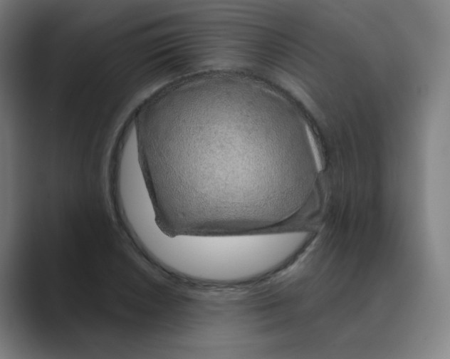 X0000088671026200706281917