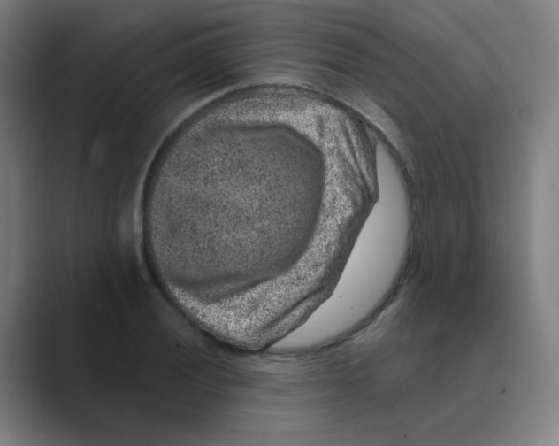 X0000088671028200706281917