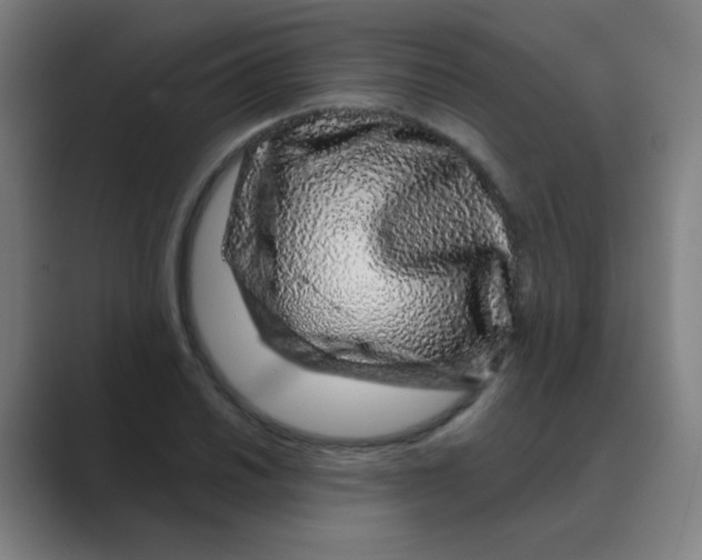 X0000088671030200706281917