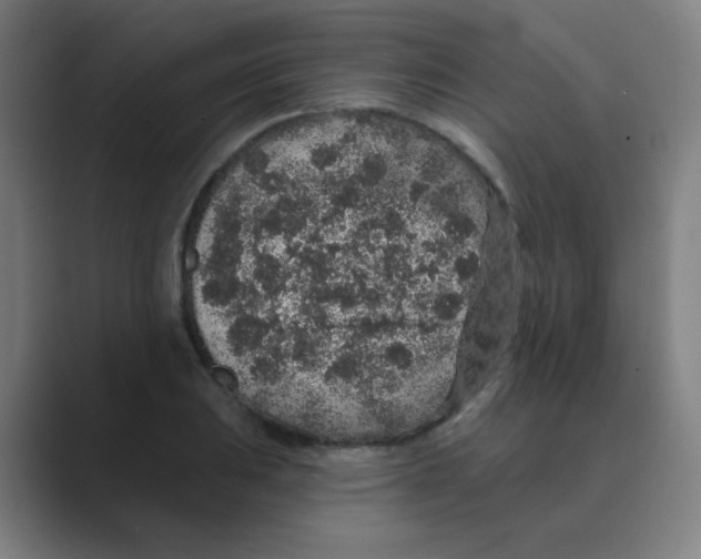 X0000088671031200706281917