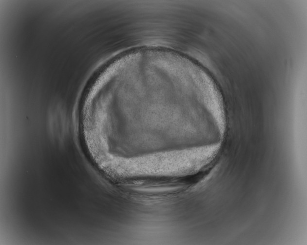 X0000088671032200706281917