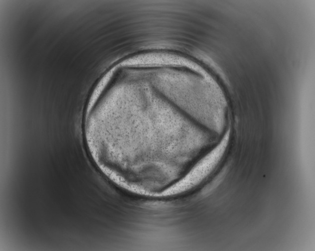 X0000088671033200706281917