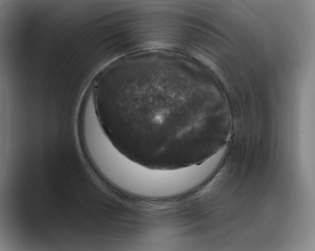X0000088671034200706281917