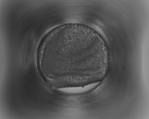 X0000088671035200706281917