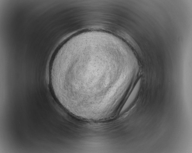 X0000088671036200706281917