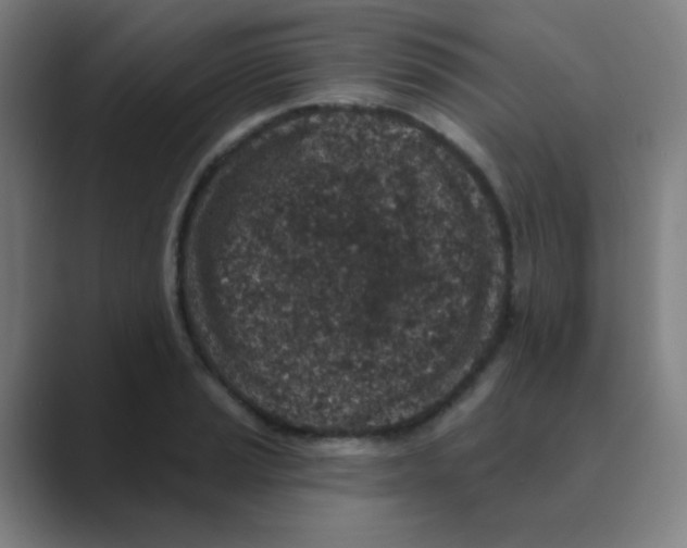 X0000088671037200706281917