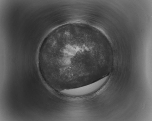 X0000088671038200706281917