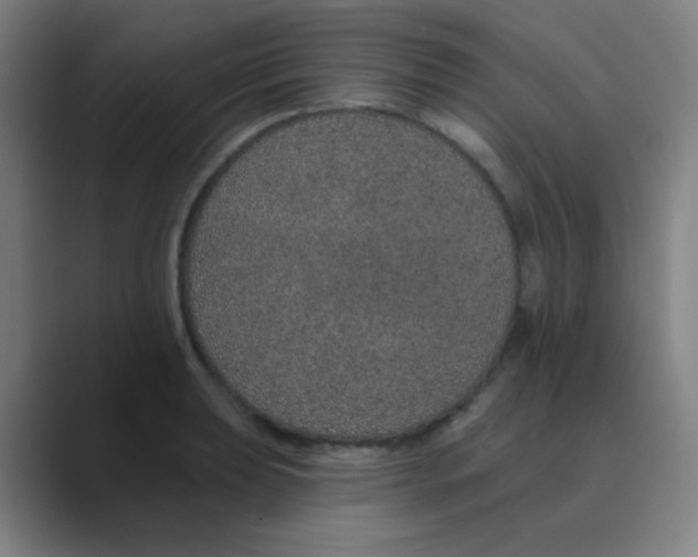 X0000088671039200706281917