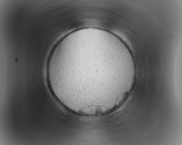 X0000088671040200706281917