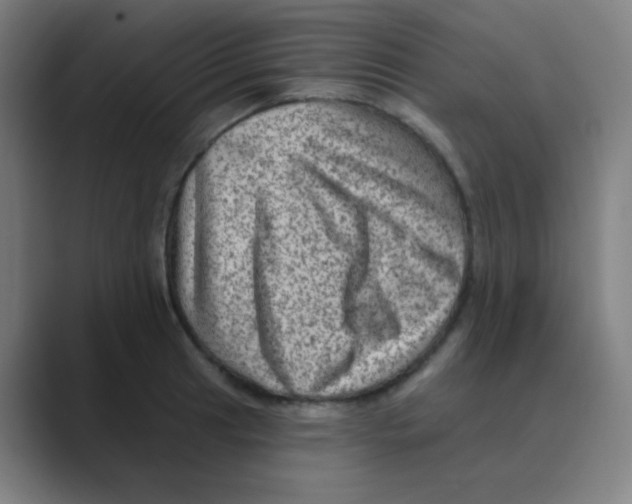 X0000088671041200706281917