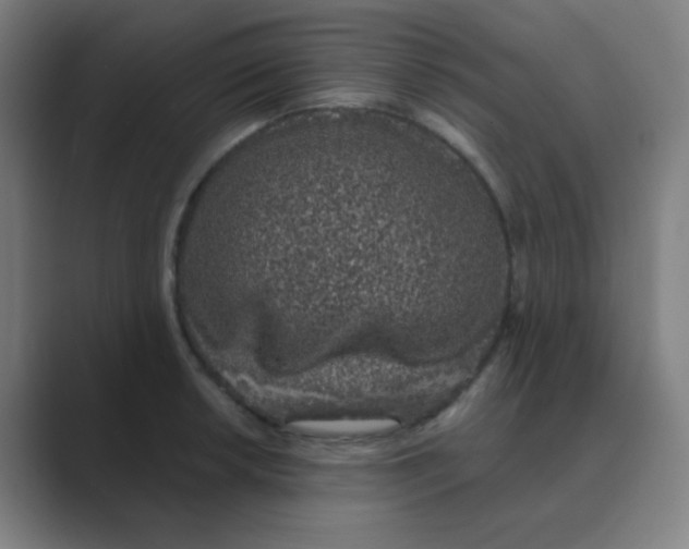 X0000088671042200706281917