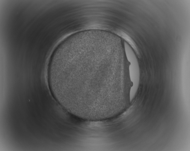 X0000088671043200706281917