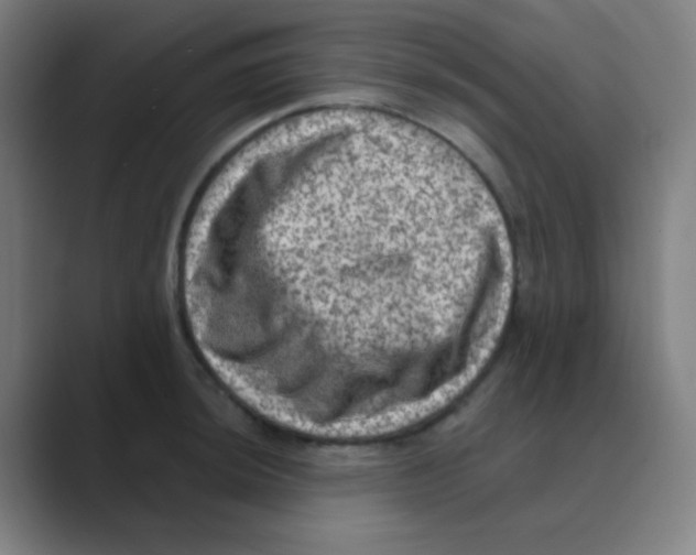 X0000088671044200706281917