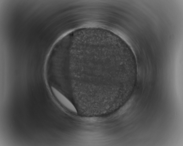 X0000088671045200706281917