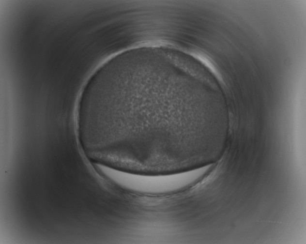 X0000088671046200706281917