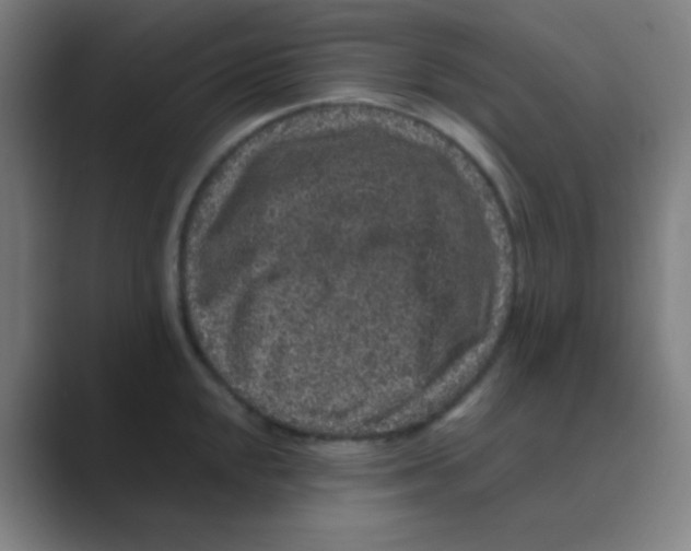 X0000088671048200706281918