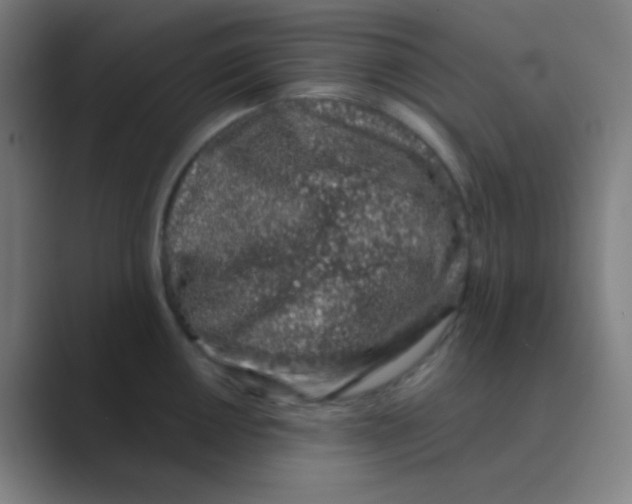 X0000088671050200706281918