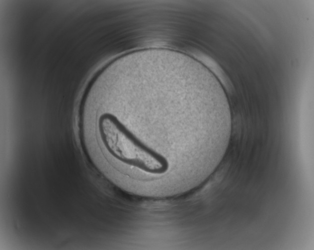 X0000088671051200706281918