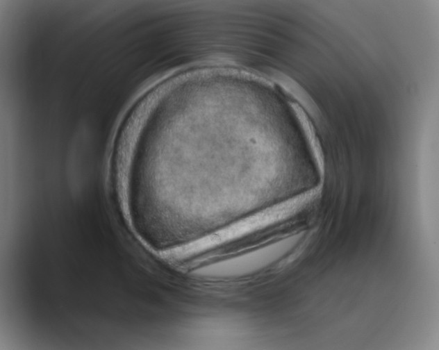 X0000088671052200706281918