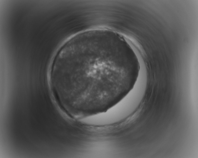X0000088671054200706281918
