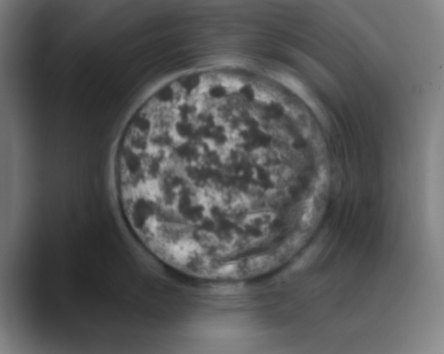 X0000088671055200706281918