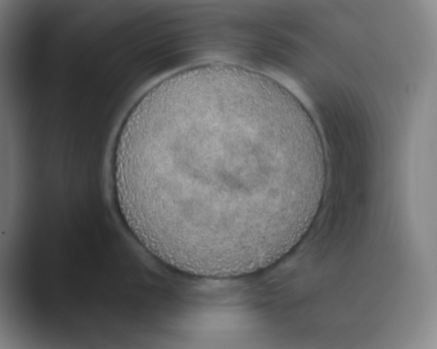 X0000088671056200706281918