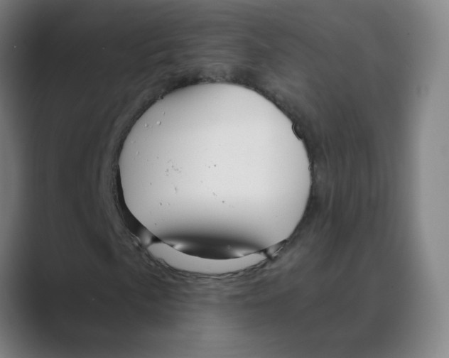 X0000088671057200706281917