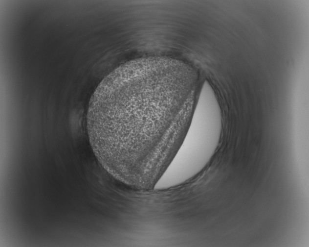 X0000088671059200706281917