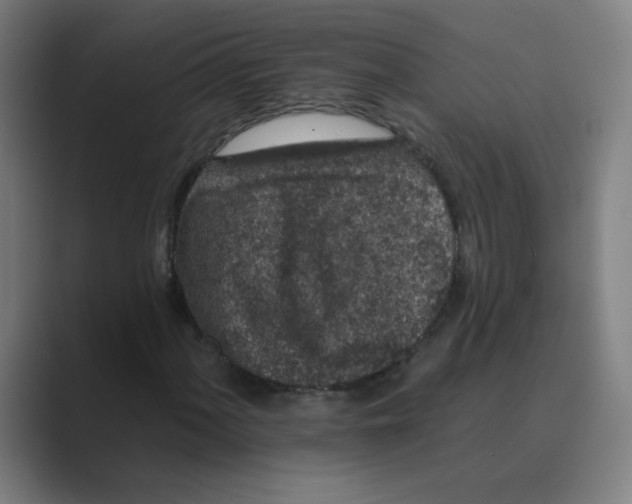 X0000088671060200706281917