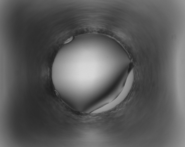 X0000088671061200706281917