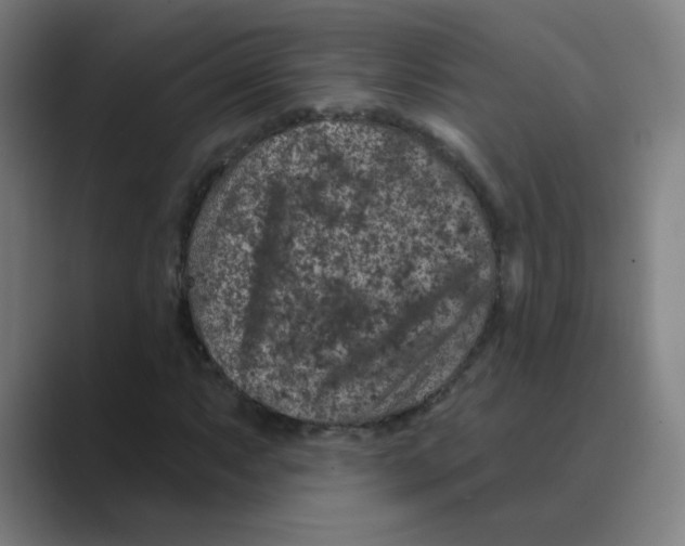 X0000088671063200706281917