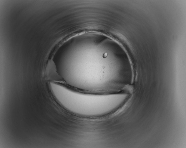 X0000088671065200706281917