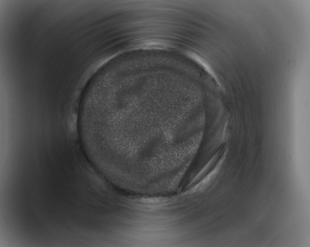 X0000088671066200706281917