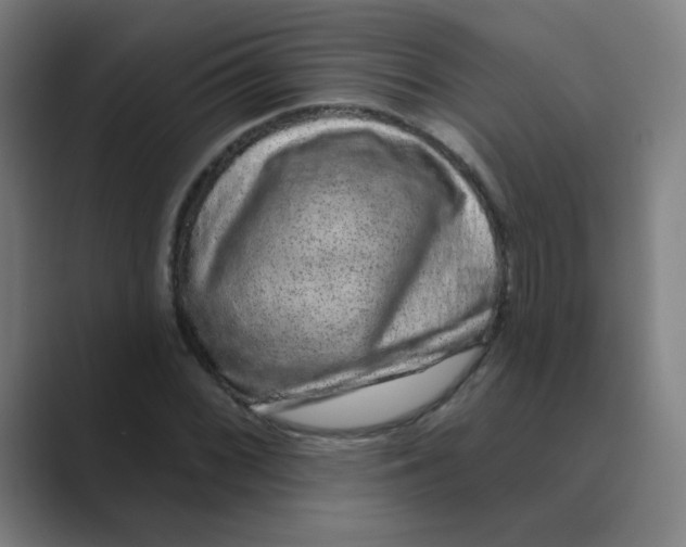 X0000088671068200706281917